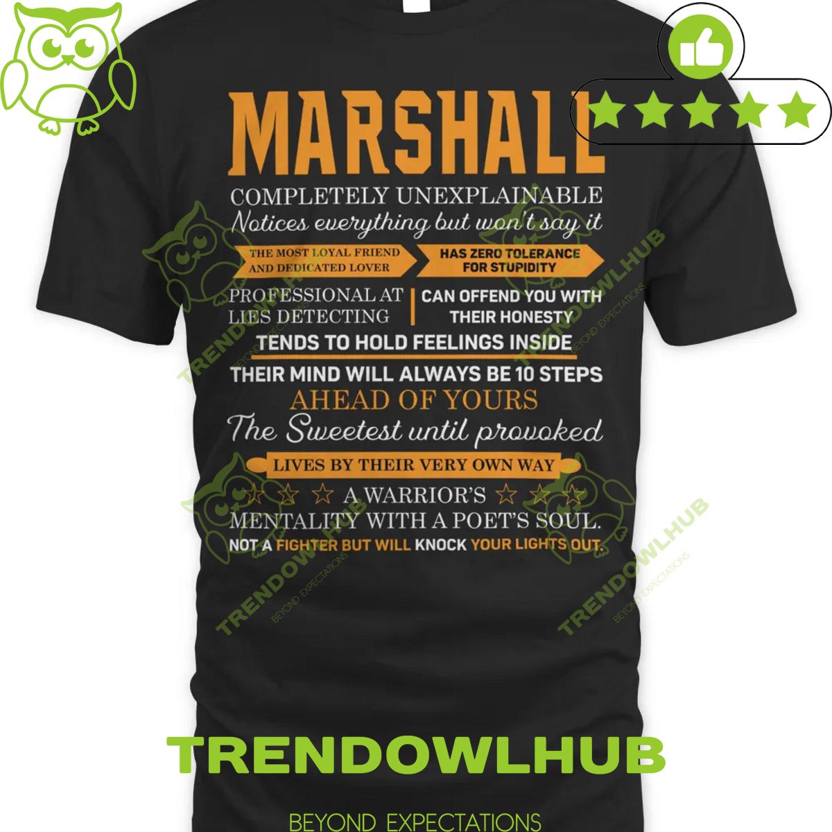 Ahead of yours Marshall Lives by their very own way zero tolerance for stupidity 2d t shirt