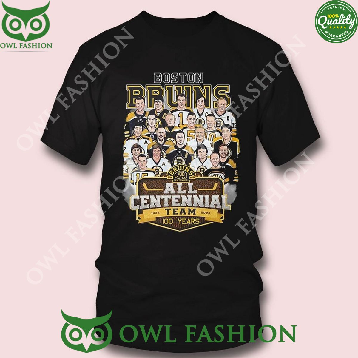 Boston Bruins All Centennial Team 100 Years 1924 2024 Tshirt
