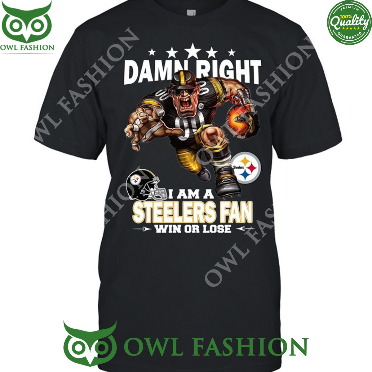 Damn Right Pittsburgh Steelers NFL Fan Win or lose t shirt