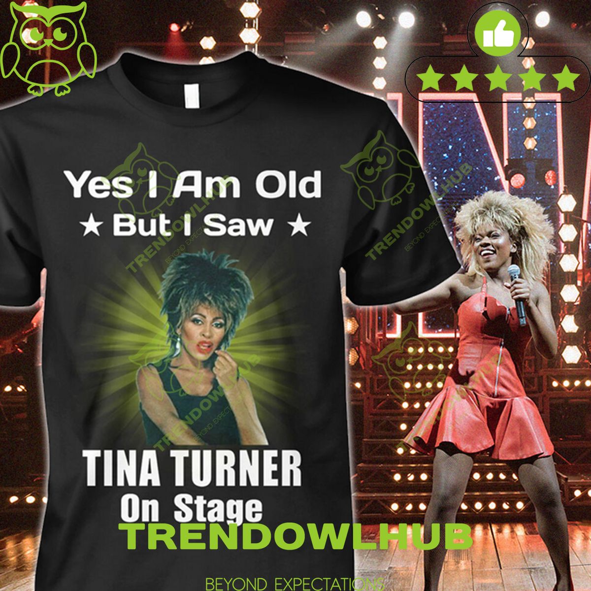 TINA TURNER YES I AM OLD BUT I SAW ON STAGE t SHIRT