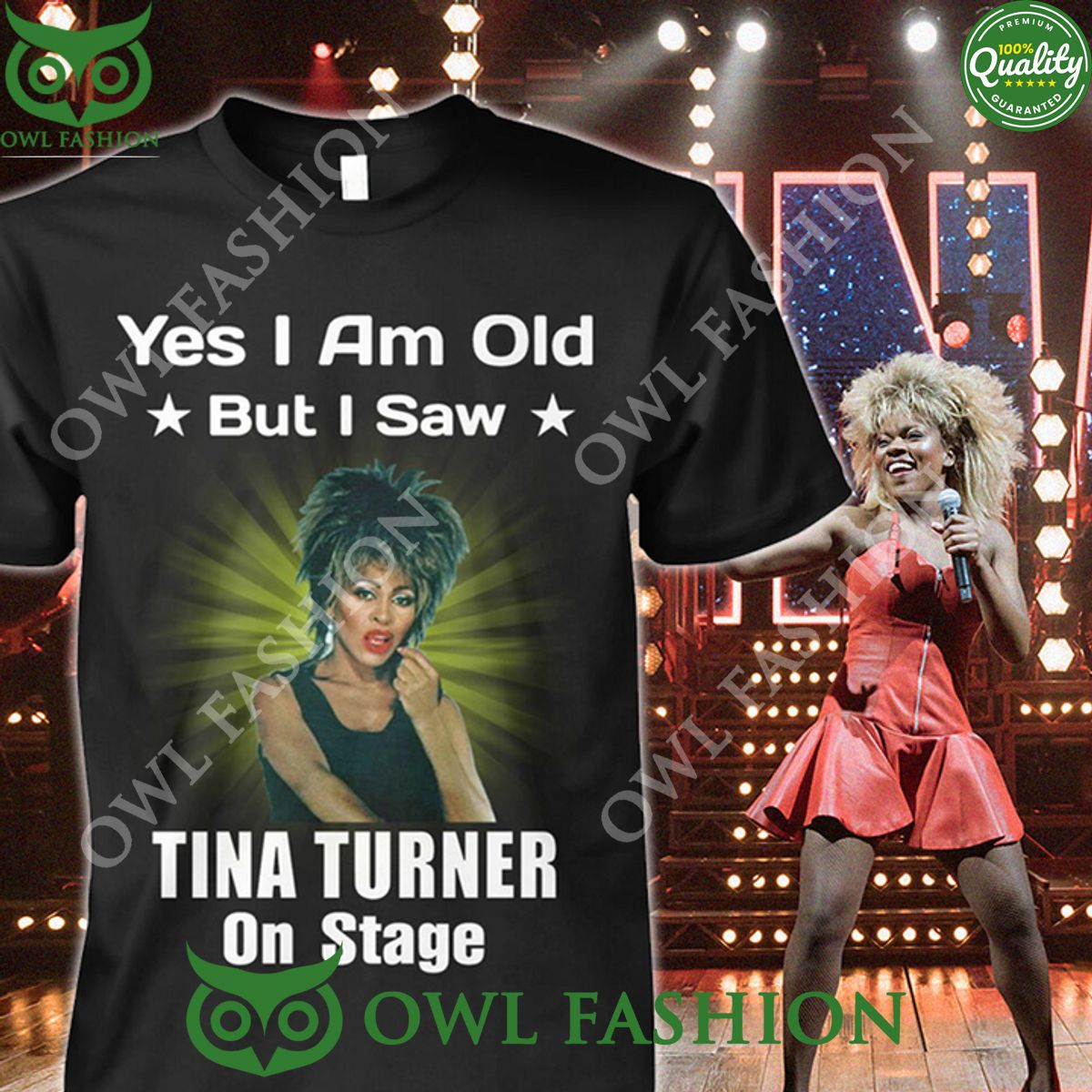 YES I AM OLD BUT I SAW TINA TURNER ON STAGE t SHIRT