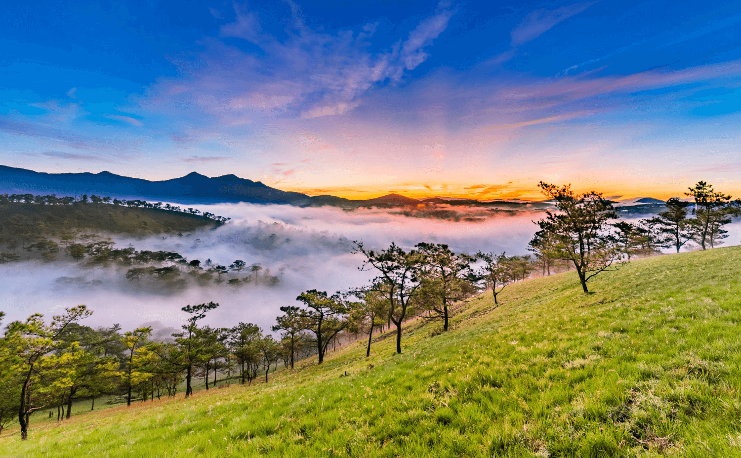 Đà Lạt Xanh