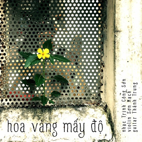 Em đến bên đời hoa vàng một đóa