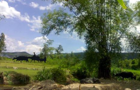 Những ngày yên ổn _01