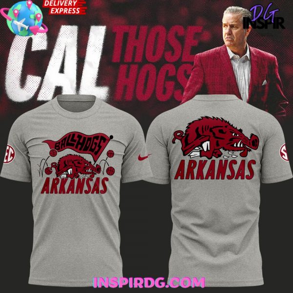 Arkansas Razorbacks BallHogs 2024 Gray T-Shirt