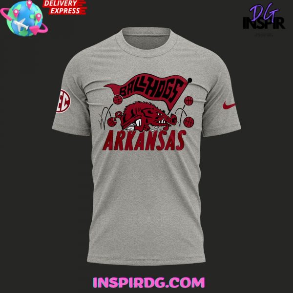 Arkansas Razorbacks BallHogs 2024 Gray T-Shirt