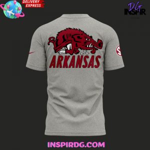 Arkansas Razorbacks BallHogs 2024 Gray TShirt
