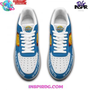 The Beach Boys Sounds of Summer Tour Air Force 1 3