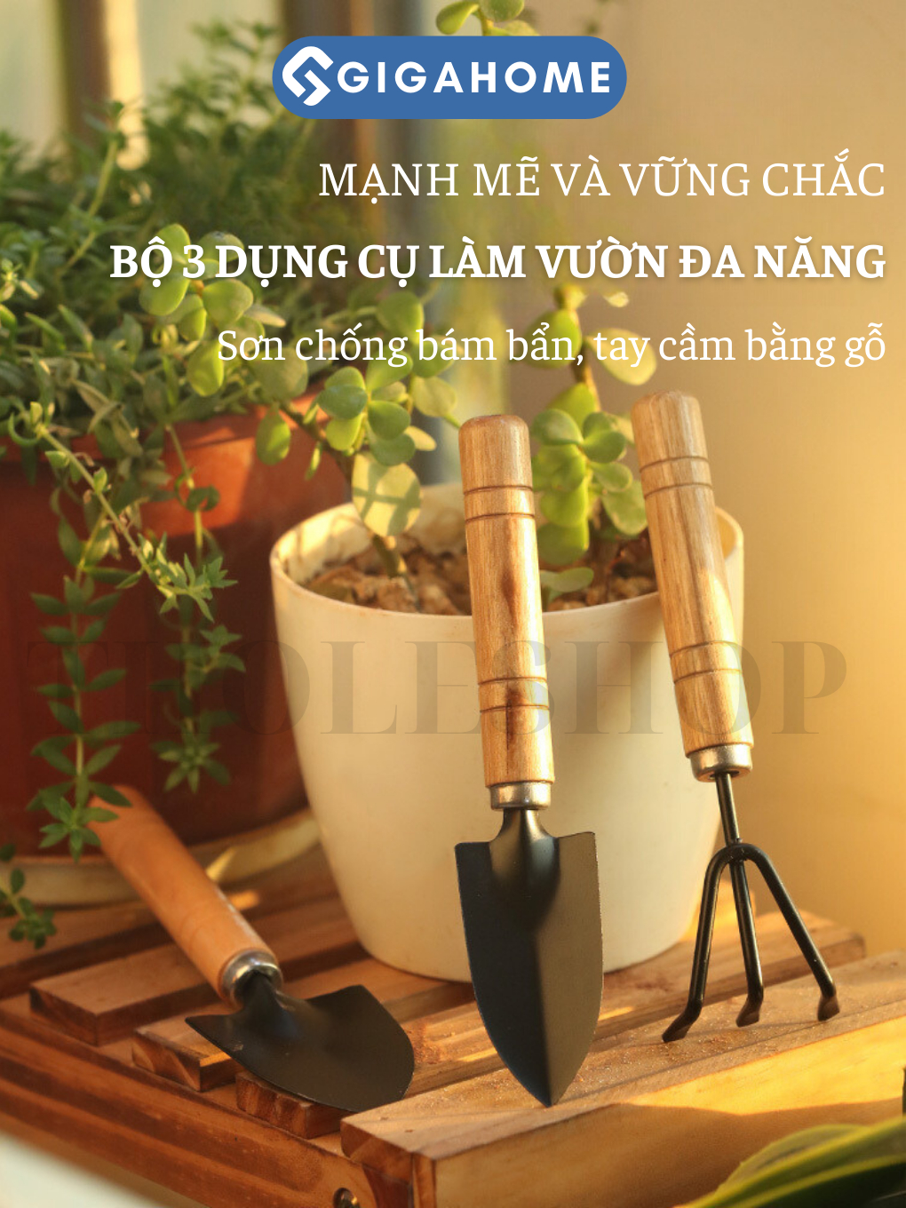 Bộ kit trồng xương rồng