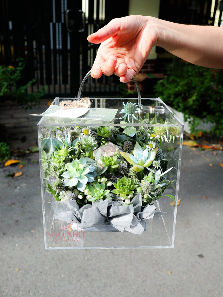 Ảnh sản phẩm