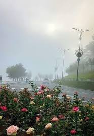 Tháng 11 - Dòng chảy của thời gian và những khát khao dang dở