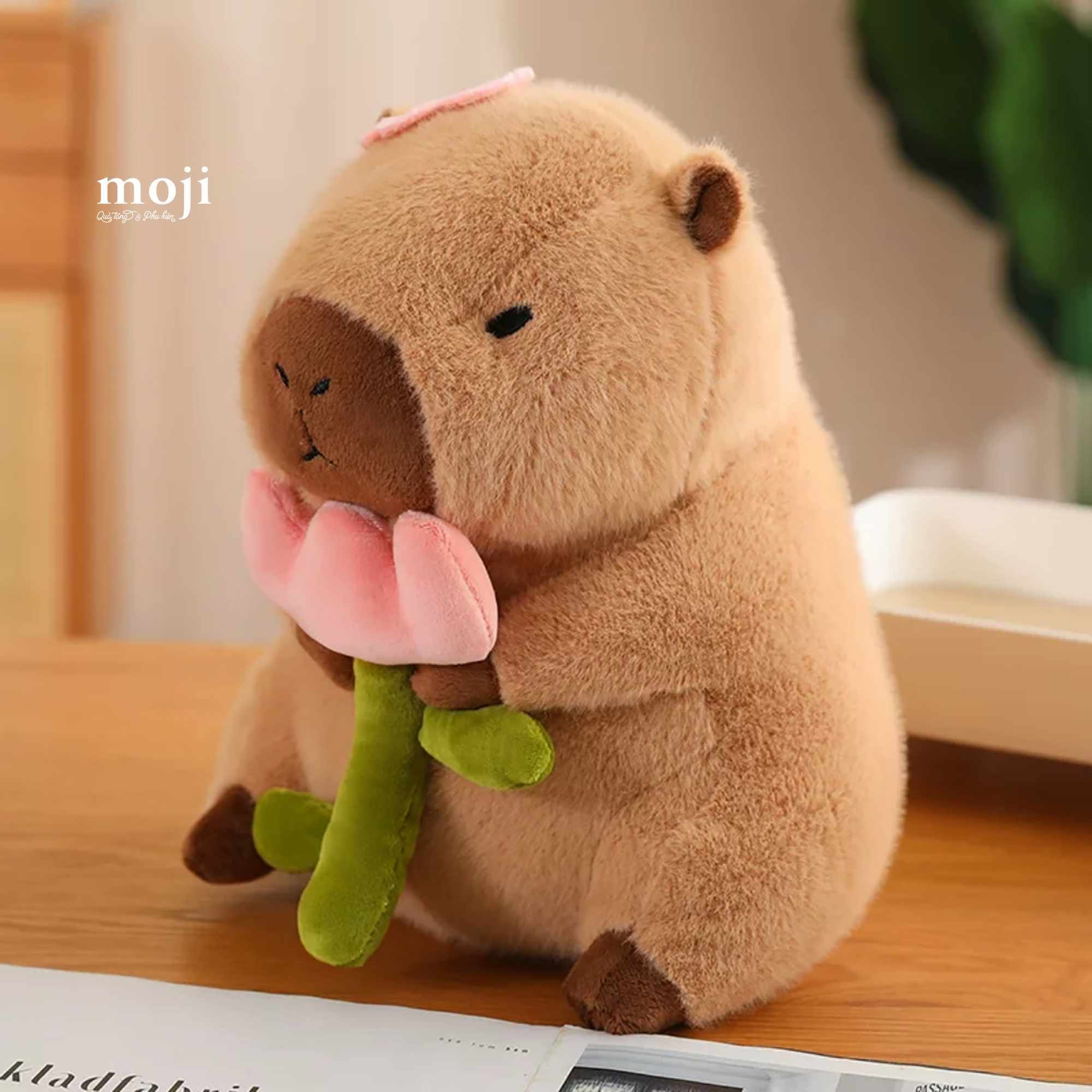 Ảnh sản phẩm