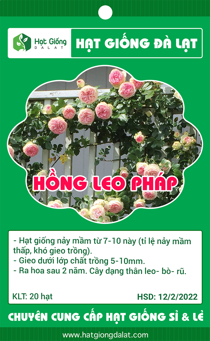 Ảnh sản phẩm
