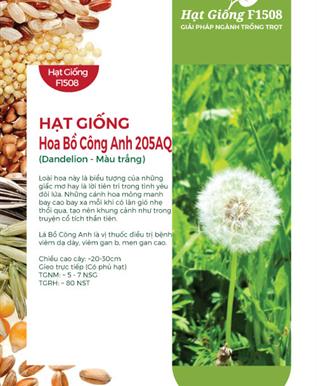 Ảnh sản phẩm