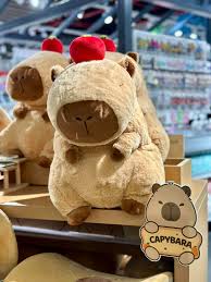 Capybara - "Thánh chill" của thế giới động vật bỗng hoá hot trend quà tặng