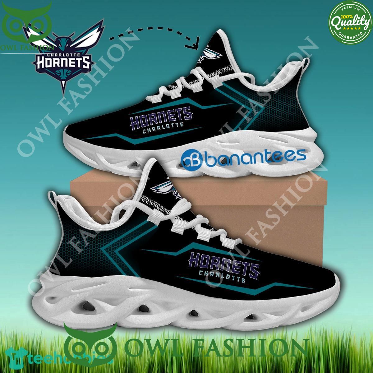 Charlotte Hornets basketball Max Soul Shoes Chunky Sneaker