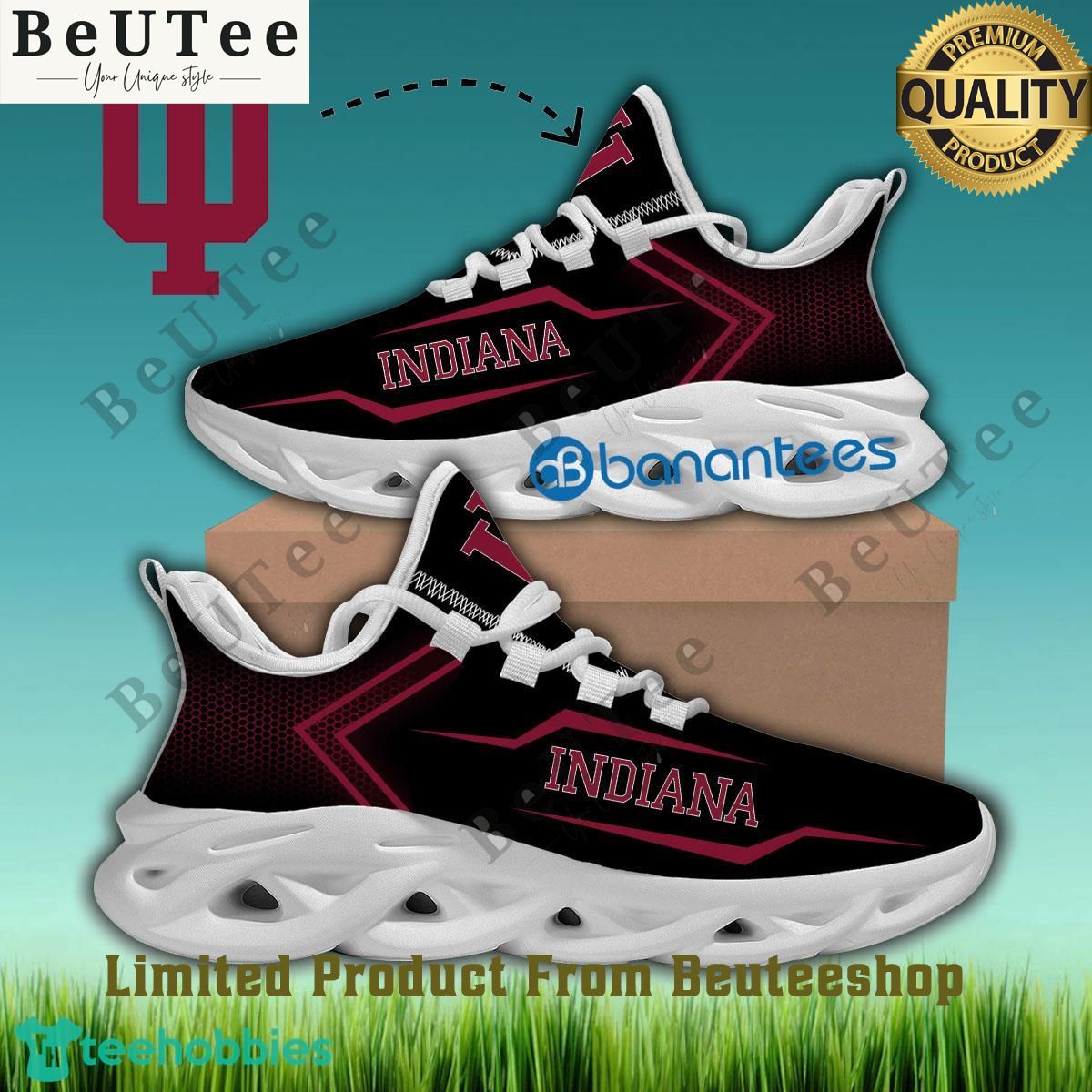 Indiana Hoosiers NCAA Basketball Chunky Sneaker Max Soul Shoes