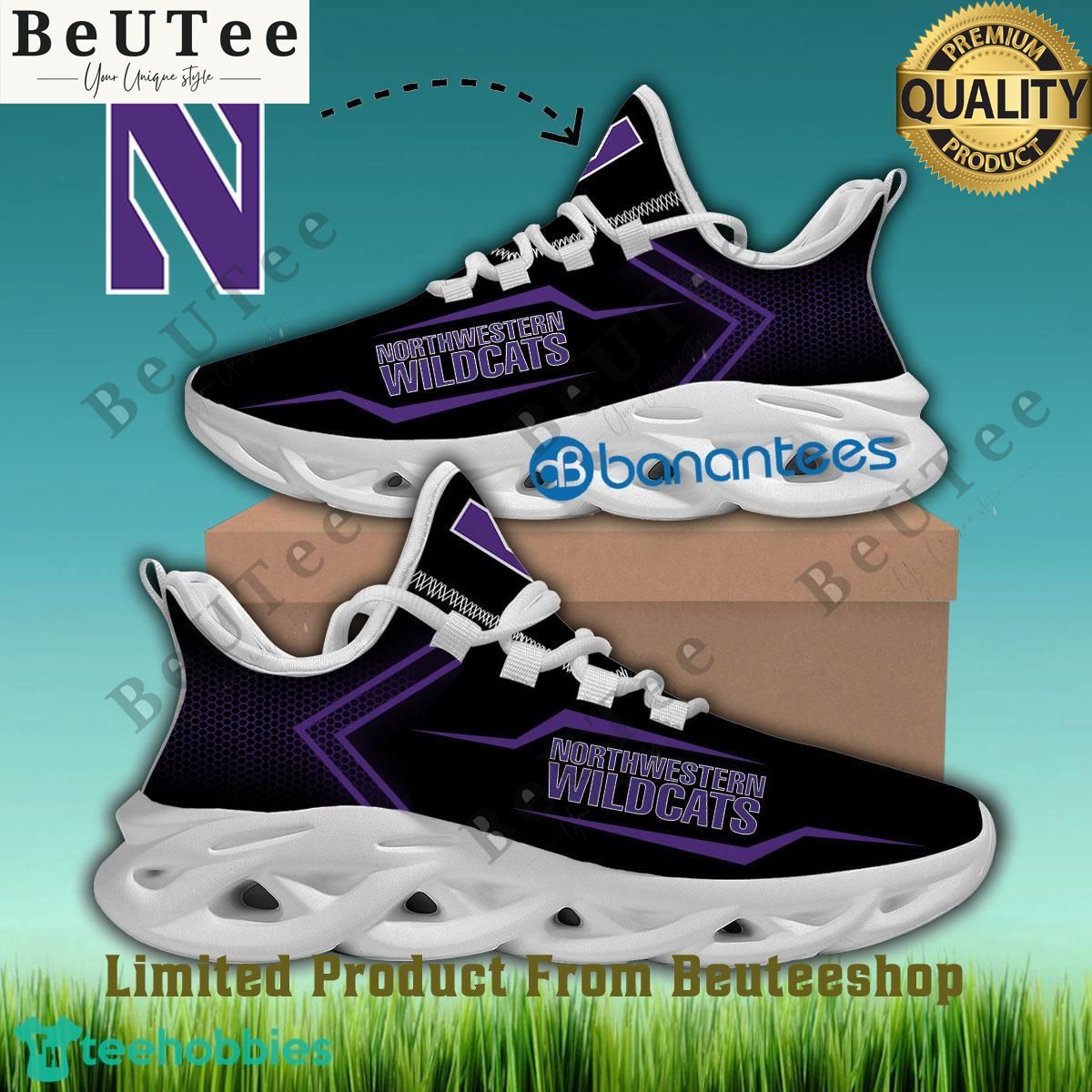 Northwestern Wildcats NCAA Running Sneaker Badge Max Soul Shoes