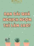 Ban Gai Qua Nghich Ngom Thi Lam Sao Convert