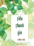 Tieu Thanh Gia Convert