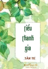 Tieu Thanh Gia Convert