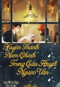 Xuyen Thanh Nam Chinh Trong Cau Huyet Nguoc Van