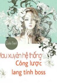 mau-xuyen-he-thong-cong-luoc-lang-tinh-boss-convert