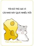 toi-da-tra-gia-vi-cai-nha-nay-qua-nhieu-roi