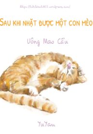 sau-khi-nhat-duoc-mot-con-meo