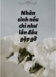 nhan-sinh-neu-chi-nhu-lan-dau-gap-go
