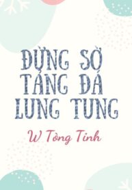 dung-so-tang-da-lung-tung