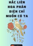 hac-lien-hoa-phan-dien-chi-muon-co-ta-convert