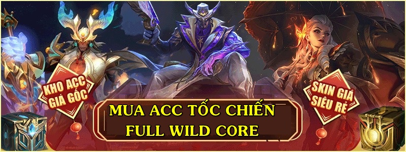 Mua Acc Tốc Chiến Full Wild Core: Hướng Dẫn Lựa Chọn Và Kiểm Tra Tài Khoản An Toàn