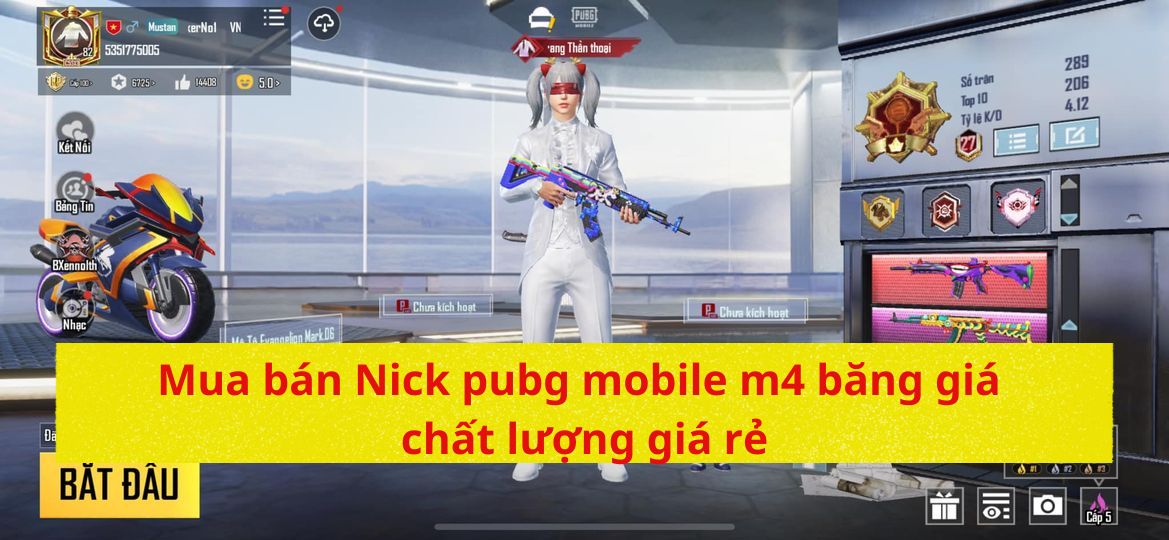 Mua bán Nick pubg mobile m4 băng giá chất lượng giá rẻ